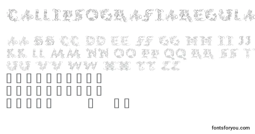 Шрифт CallipsografiaRegular – алфавит, цифры, специальные символы