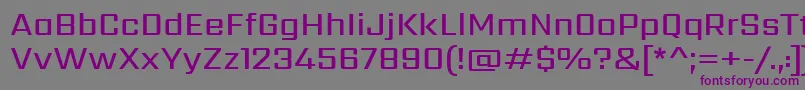 SarpanchMedium Font – Purple Fonts on Gray Background