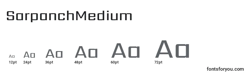 SarpanchMedium Font Sizes