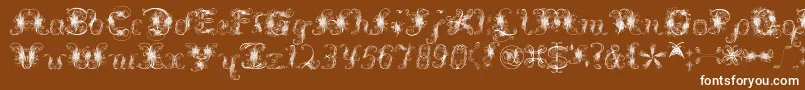 Extravagantpete3.03-Schriftart – Weiße Schriften auf braunem Hintergrund