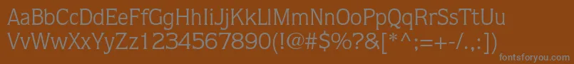 Шрифт QuorumstdBook – серые шрифты на коричневом фоне