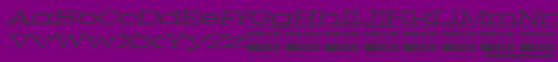 PigeonlightitalPersonal Font – Black Fonts on Purple Background