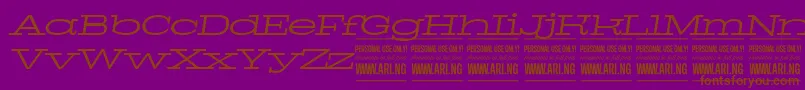 フォントPigeonlightitalPersonal – 紫色の背景に茶色のフォント