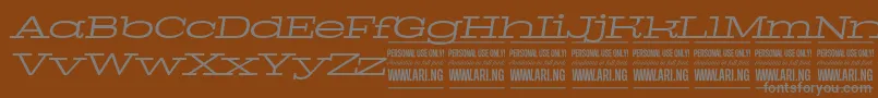 PigeonlightitalPersonal-fontti – harmaat kirjasimet ruskealla taustalla