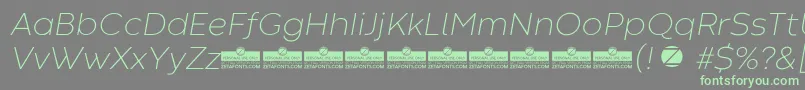 CodecWarmExtralightItalicTrial Font – Green Fonts on Gray Background