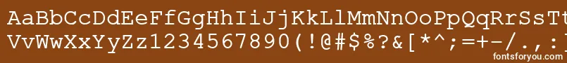 Шрифт ErKurierKoi8R – белые шрифты на коричневом фоне