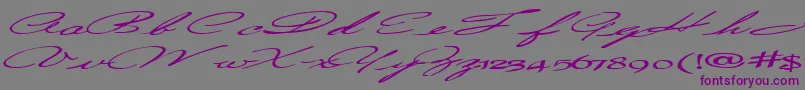 Countrylove3Bold-Schriftart – Violette Schriften auf grauem Hintergrund