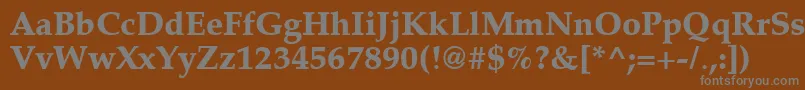 フォントLatinopal7Extraboldsh – 茶色の背景に灰色の文字