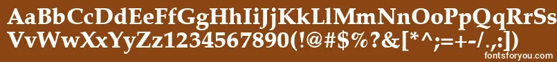 フォントLatinopal7Extraboldsh – 茶色の背景に白い文字