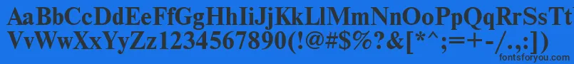 NewtoncBold Font – Black Fonts on Blue Background