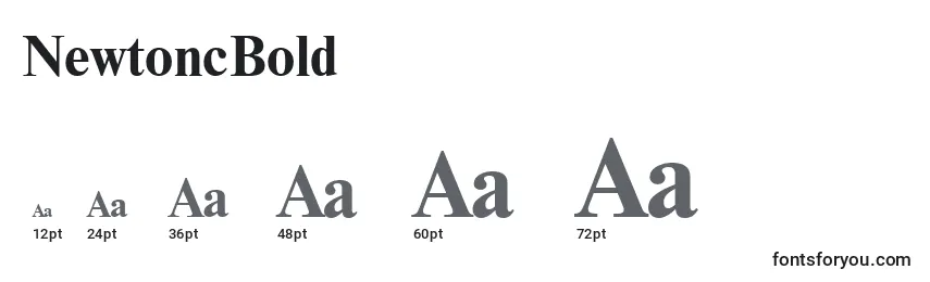 NewtoncBold Font Sizes