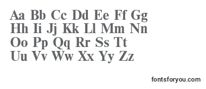 NewtoncBold-fontti
