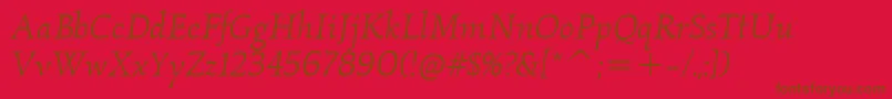 KallositcTtBookitalic Font – Brown Fonts on Red Background