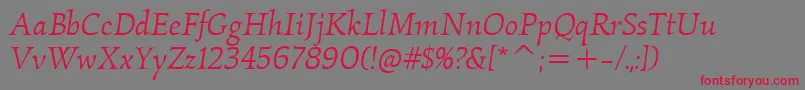 フォントKallositcTtBookitalic – 赤い文字の灰色の背景