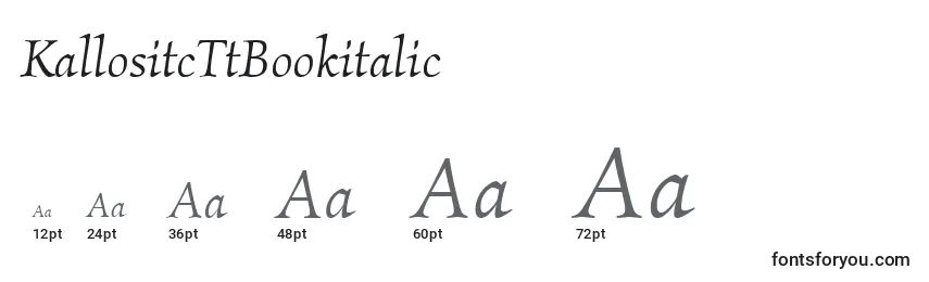 Размеры шрифта KallositcTtBookitalic