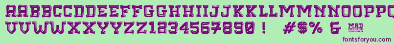 MadCollege Font – Purple Fonts on Green Background