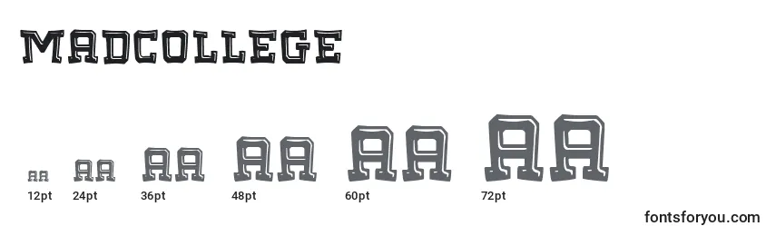MadCollege Font Sizes