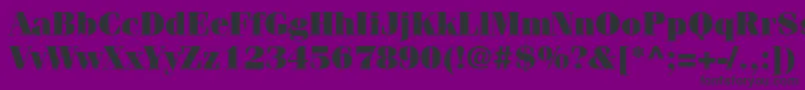 ItcFeniceLtUltra Font – Black Fonts on Purple Background