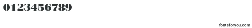 ItcFeniceLtUltra Font – Fonts for Numbers and Digits