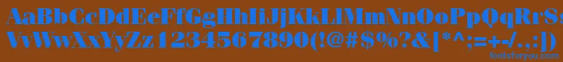 フォントItcFeniceLtUltra – 茶色の背景に青い文字