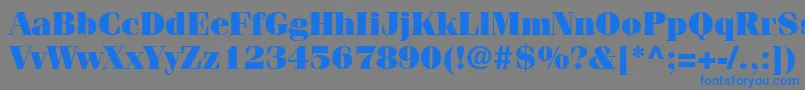 Шрифт ItcFeniceLtUltra – синие шрифты на сером фоне