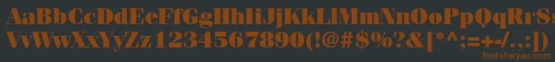 ItcFeniceLtUltra Font – Brown Fonts on Black Background