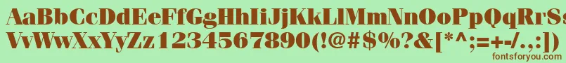 ItcFeniceLtUltra Font – Brown Fonts on Green Background