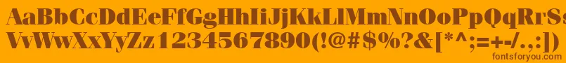 Czcionka ItcFeniceLtUltra – brązowe czcionki na pomarańczowym tle