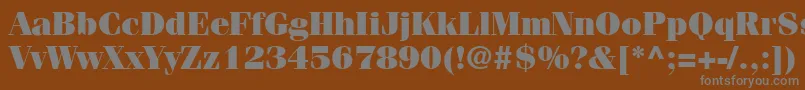 Шрифт ItcFeniceLtUltra – серые шрифты на коричневом фоне