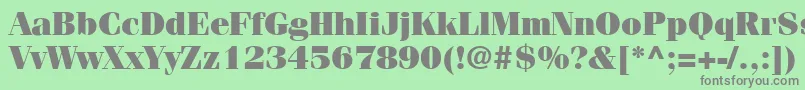 フォントItcFeniceLtUltra – 緑の背景に灰色の文字