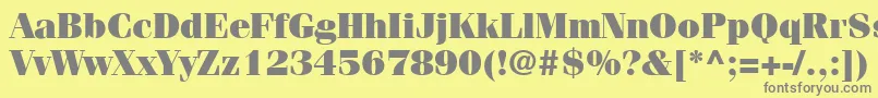 ItcFeniceLtUltra Font – Gray Fonts on Yellow Background