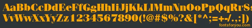 フォントItcFeniceLtUltra – 黒い背景にオレンジの文字