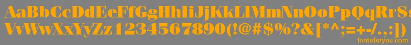 ItcFeniceLtUltra Font – Orange Fonts on Gray Background