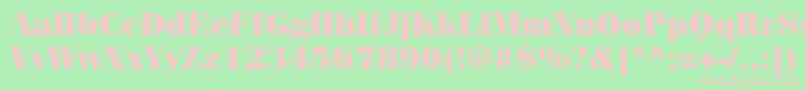 ItcFeniceLtUltra Font – Pink Fonts on Green Background