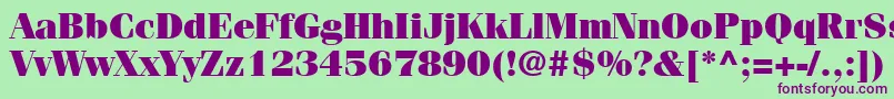 Шрифт ItcFeniceLtUltra – фиолетовые шрифты на зелёном фоне