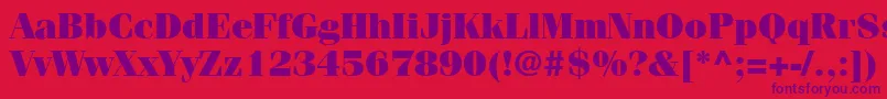 ItcFeniceLtUltra Font – Purple Fonts on Red Background