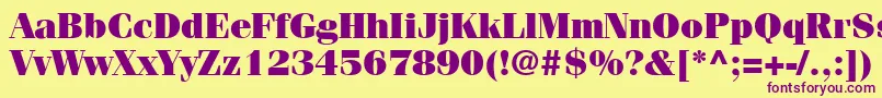 ItcFeniceLtUltra Font – Purple Fonts on Yellow Background