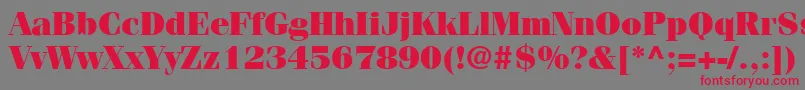 ItcFeniceLtUltra Font – Red Fonts on Gray Background