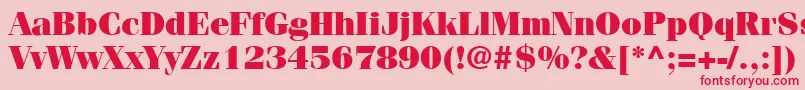 ItcFeniceLtUltra Font – Red Fonts on Pink Background