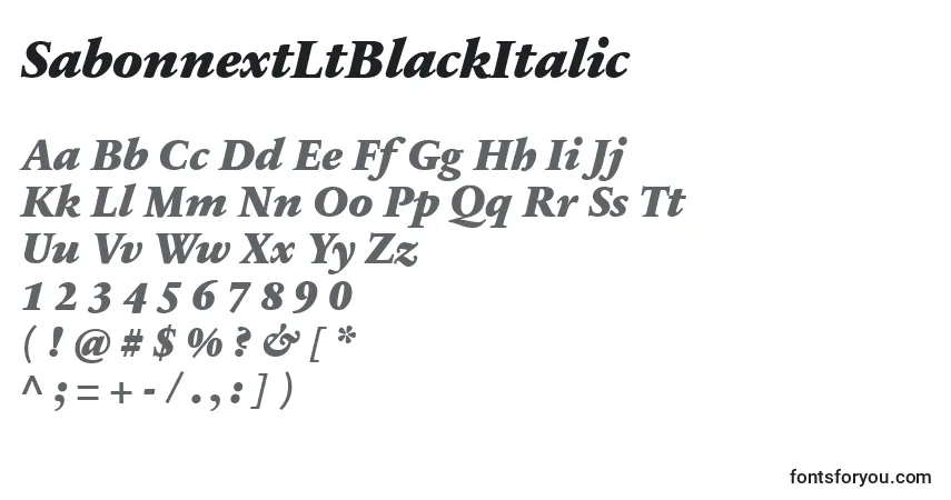 SabonnextLtBlackItalicフォント–アルファベット、数字、特殊文字