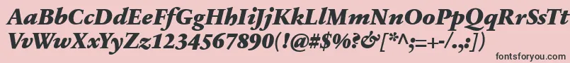 SabonnextLtBlackItalic Font – Black Fonts on Pink Background