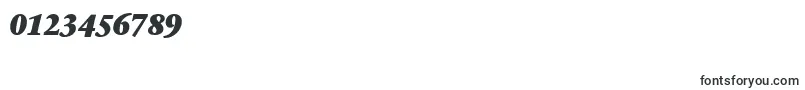 SabonnextLtBlackItalic Font – Fonts for Numbers and Digits