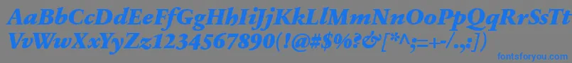 SabonnextLtBlackItalic-fontti – siniset fontit harmaalla taustalla
