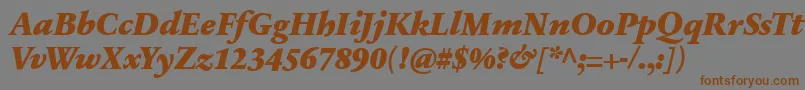 フォントSabonnextLtBlackItalic – 茶色の文字が灰色の背景にあります。