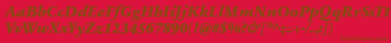 SabonnextLtBlackItalic Font – Brown Fonts on Red Background