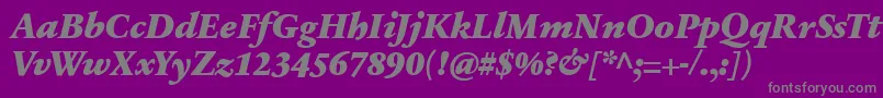 Czcionka SabonnextLtBlackItalic – szare czcionki na fioletowym tle