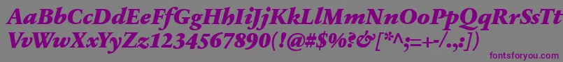 フォントSabonnextLtBlackItalic – 紫色のフォント、灰色の背景