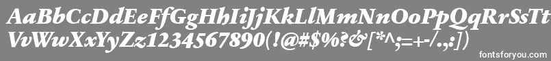 Czcionka SabonnextLtBlackItalic – białe czcionki na szarym tle