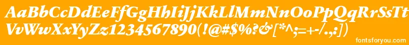 Czcionka SabonnextLtBlackItalic – białe czcionki na pomarańczowym tle