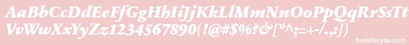 SabonnextLtBlackItalic Font – White Fonts on Pink Background